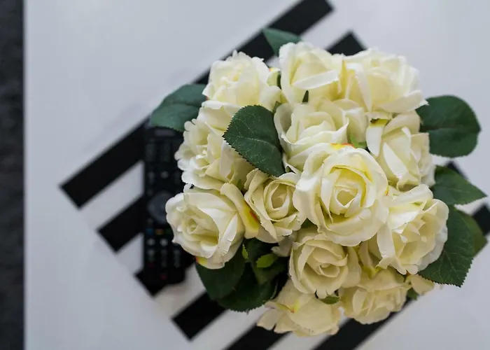 Domki Nord Breeze Z Podgrzewanym Basenem, Jacuzzi Oraz Sauna